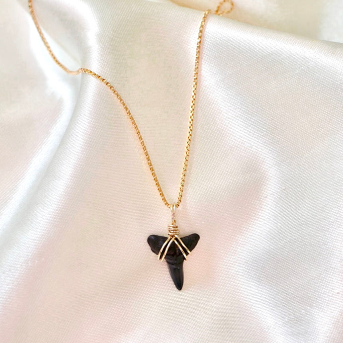Shark Tooth Necklace - Reluxe Vintage